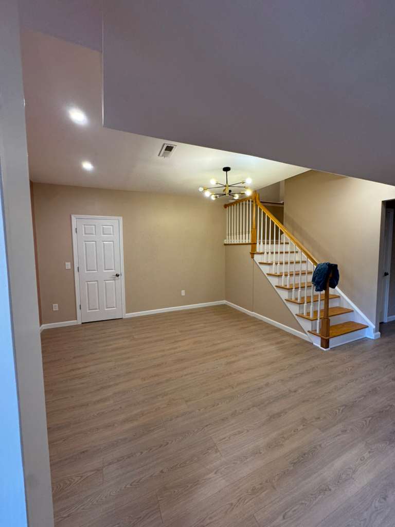 Basement Renovation